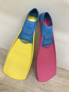 フィン