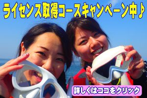 ダイビングライセンス取得キャンペーン