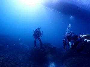 鵜来島写真