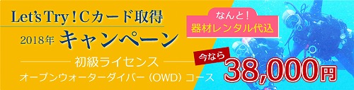 Cカード取得キャンペーン