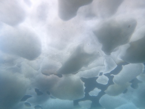 流氷