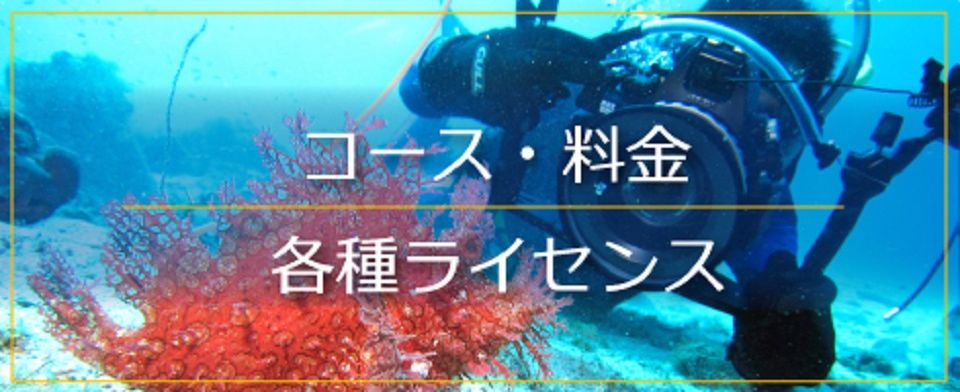 コース・料金・各種ライセンス