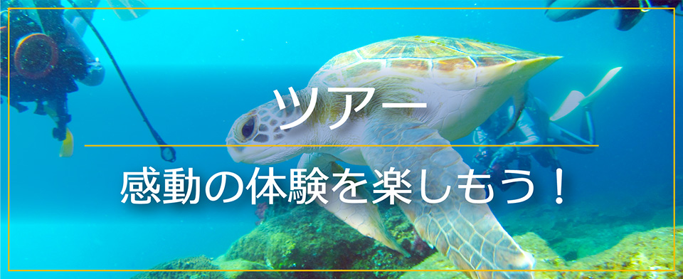 ツアー 感動の体験を楽しもう!