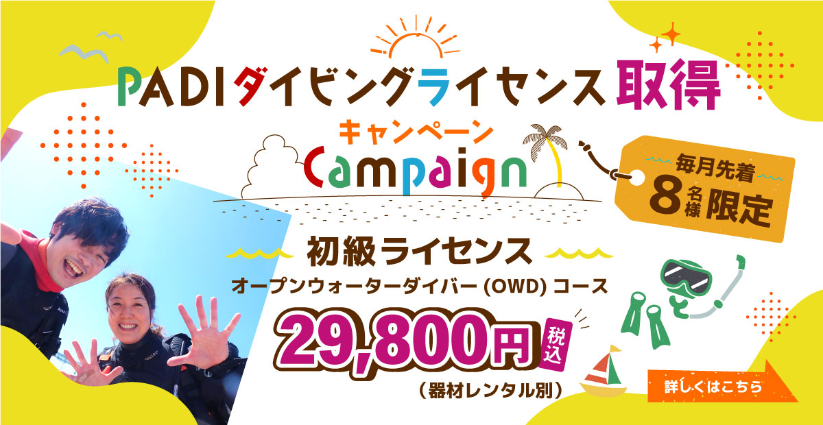 ダイビング初級ライセンス　PADI　オープンウォーターコースが現在キャンペーン中