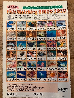 ＢＩＮＧＯ