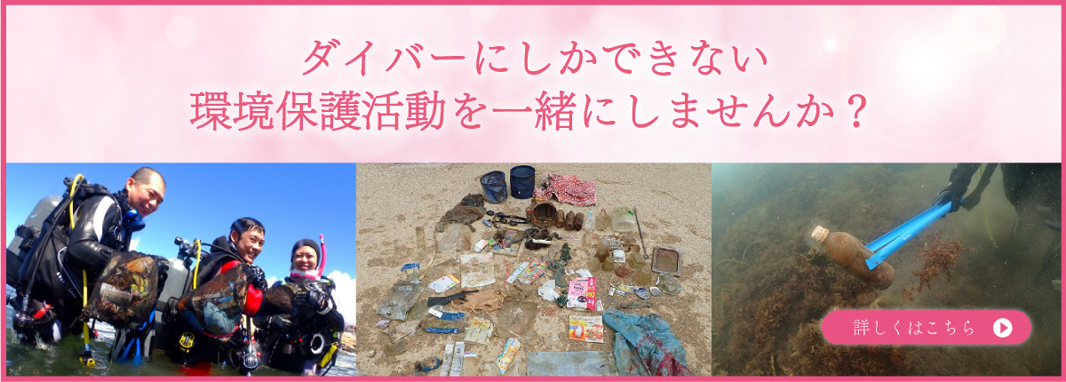 ダイビングスクールNORISの環境保護活動