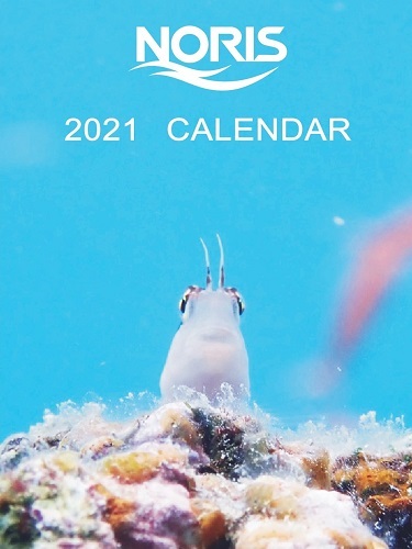 ★2021年 ノリスカレンダー★