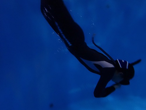 スキンダイビング