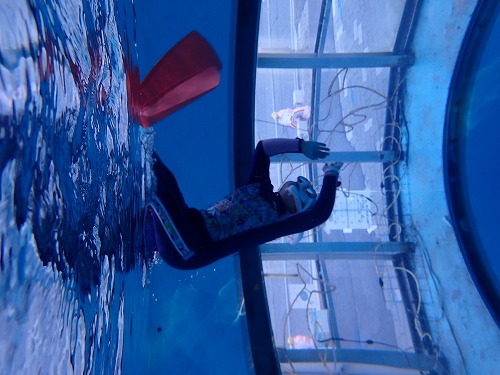 スキンダイビング