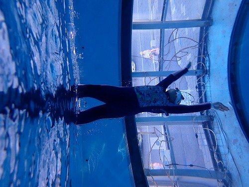 スキンダイビング