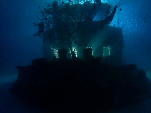 白浜ダイビングツアー【潜り納め？日帰りでボートナイトまで！！】12/28