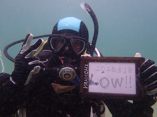 兵庫県ダイビングツアー【海を楽しむダイバー誕生！】3/18