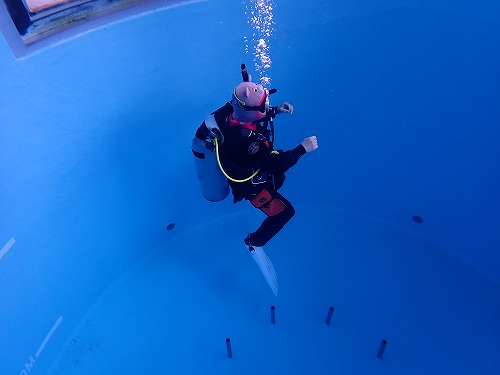 【中性浮力練習！～スクーバダイビング～】inノリス舞子店プール3/26